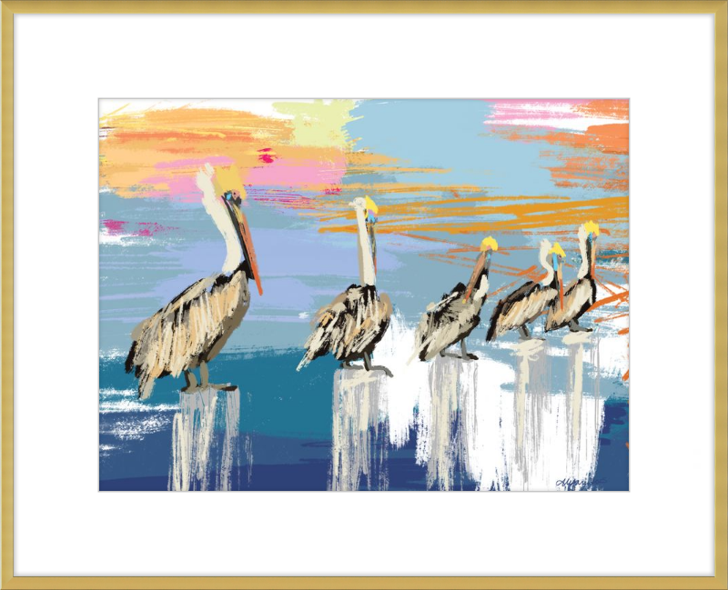 Pelicans