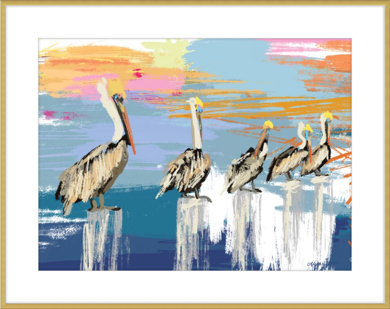 Pelicans